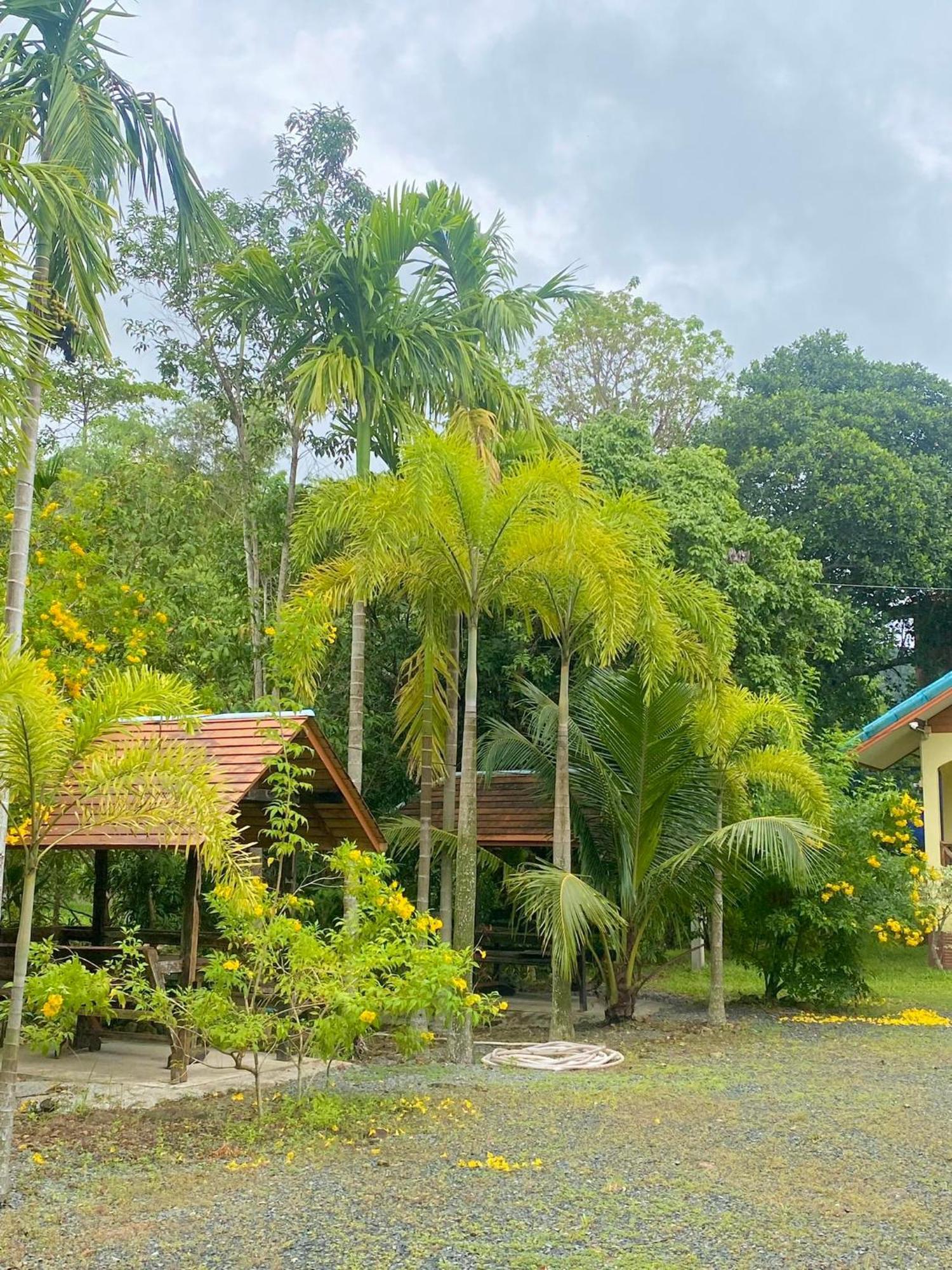 Baanrimklong Bungalow كو تشانغ المظهر الخارجي الصورة